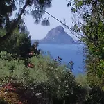 Amuni' Trabia